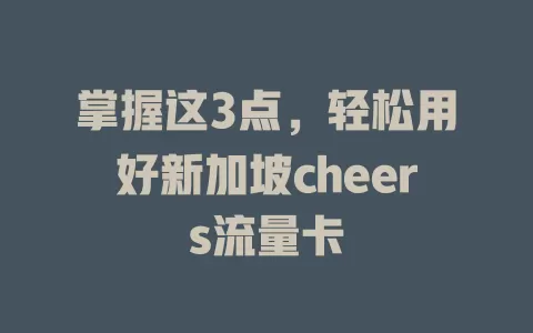 掌握这3点，轻松用好新加坡cheers流量卡