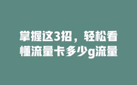 掌握这3招，轻松看懂流量卡多少g流量