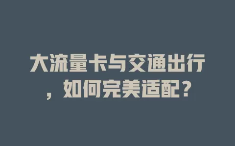 大流量卡与交通出行，如何完美适配？