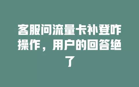 客服问流量卡补登咋操作，用户的回答绝了
