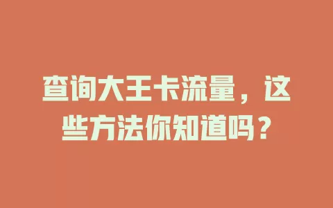 查询大王卡流量，这些方法你知道吗？