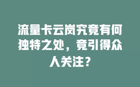 流量卡云岚究竟有何独特之处，竟引得众人关注？