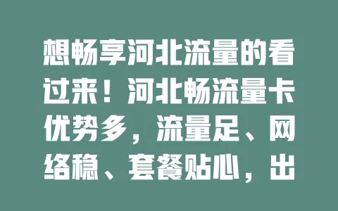 想畅享河北流量的看过来！河北畅流量卡优势多，流量足、网络稳、套餐贴心，出差也不怕，是河北用户流量需求的理想之选