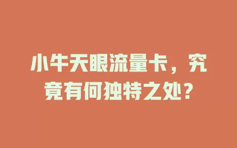 小牛天眼流量卡，究竟有何独特之处？