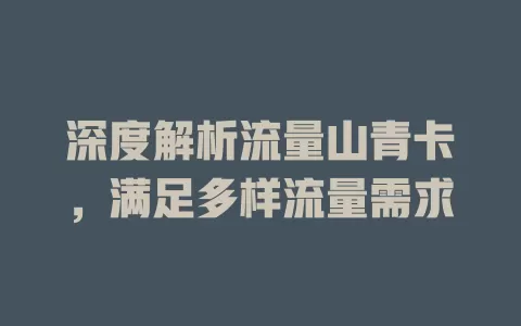 深度解析流量山青卡，满足多样流量需求