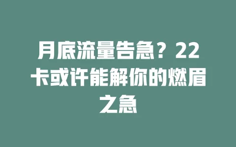 月底流量告急？22卡或许能解你的燃眉之急