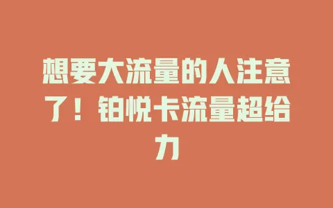 想要大流量的人注意了！铂悦卡流量超给力