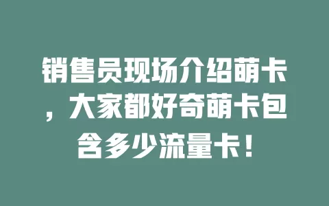 销售员现场介绍萌卡，大家都好奇萌卡包含多少流量卡！