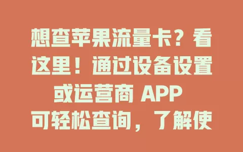 想查苹果流量卡？看这里！通过设备设置或运营商 APP 可轻松查询，了解使用情况与费用明细，避免超支，让用卡更顺畅