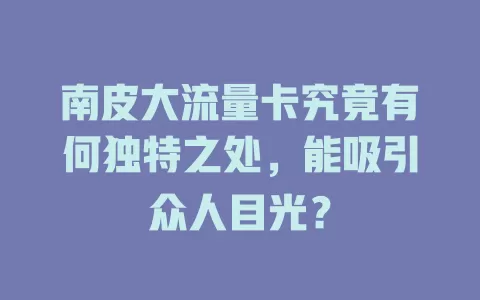 南皮大流量卡究竟有何独特之处，能吸引众人目光？