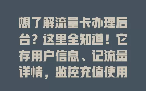 想了解流量卡办理后台？这里全知道！它存用户信息、记流量详情，监控充值使用，还有客服功能，随技术升级更智能便捷，全方位保障使用！