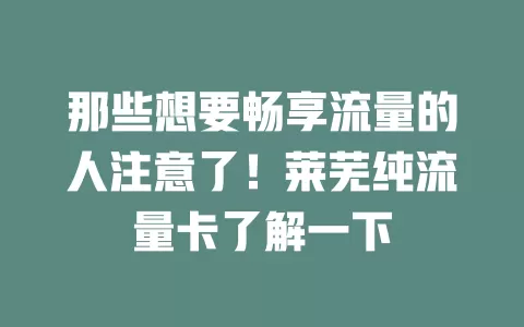 那些想要畅享流量的人注意了！莱芜纯流量卡了解一下