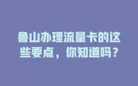 鲁山办理流量卡的这些要点，你知道吗？