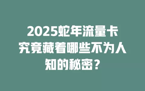 2025蛇年流量卡究竟藏着哪些不为人知的秘密？