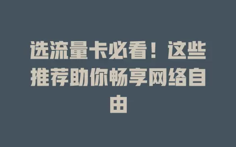 选流量卡必看！这些推荐助你畅享网络自由
