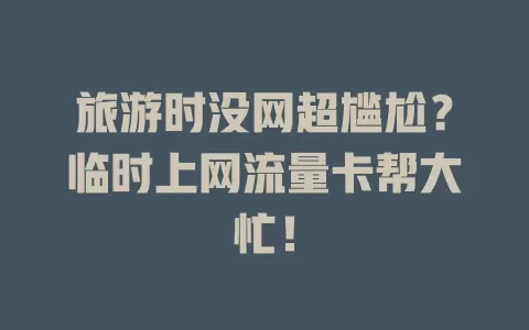旅游时没网超尴尬？临时上网流量卡帮大忙！