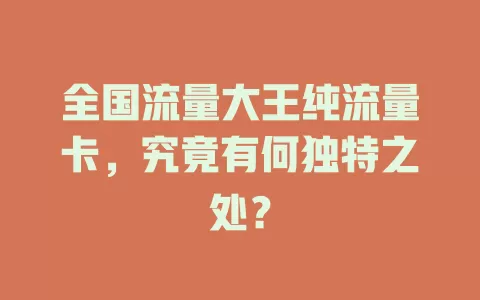 全国流量大王纯流量卡，究竟有何独特之处？