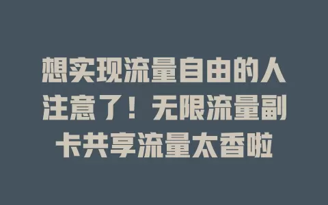 想实现流量自由的人注意了！无限流量副卡共享流量太香啦