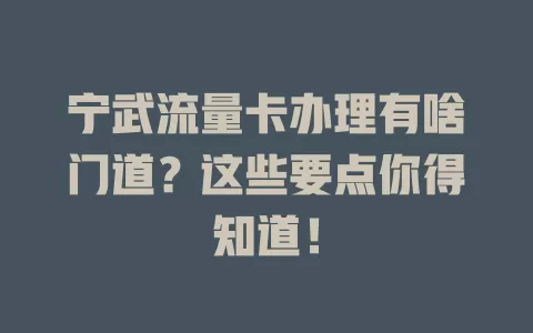 宁武流量卡办理有啥门道？这些要点你得知道！