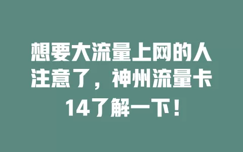 想要大流量上网的人注意了，神州流量卡14了解一下！