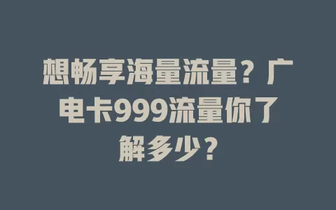 想畅享海量流量？广电卡999流量你了解多少？