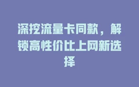 深挖流量卡同款，解锁高性价比上网新选择