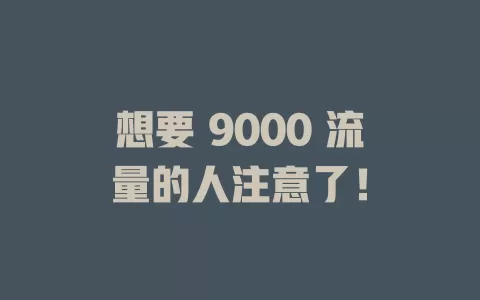 想要 9000 流量的人注意了！