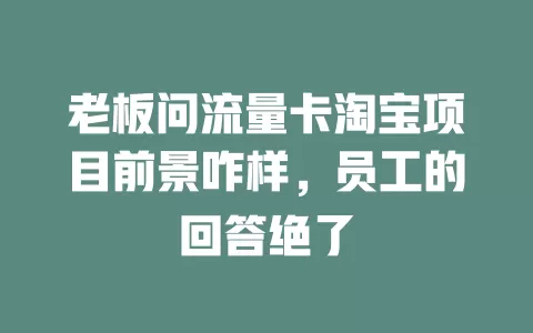 老板问流量卡淘宝项目前景咋样，员工的回答绝了