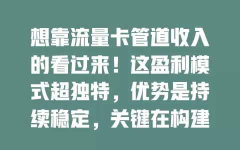 想靠流量卡管道收入的看过来！这盈利模式超独特，优势是持续稳定，关键在构建流量入口，虽不易实现，但值得渴望财富自由的人探索，掌握方法有丰厚回报