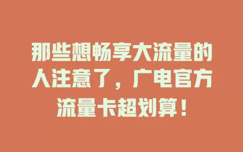 那些想畅享大流量的人注意了，广电官方流量卡超划算！