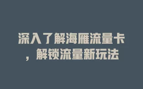 深入了解海雁流量卡，解锁流量新玩法