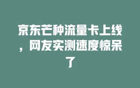 京东芒种流量卡上线，网友实测速度惊呆了