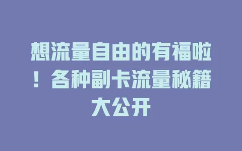 想流量自由的有福啦！各种副卡流量秘籍大公开