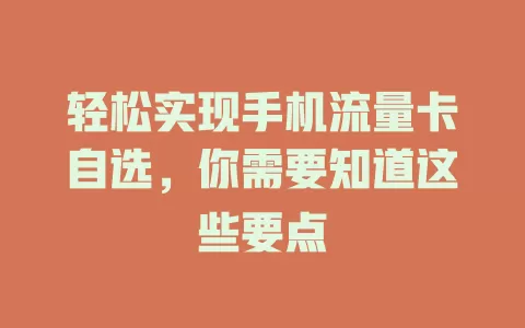 轻松实现手机流量卡自选，你需要知道这些要点