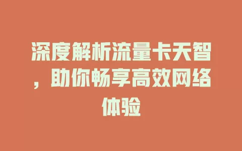 深度解析流量卡天智，助你畅享高效网络体验