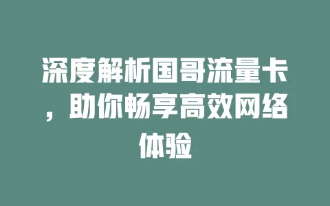 深度解析国哥流量卡，助你畅享高效网络体验
