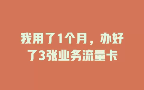 我用了1个月，办好了3张业务流量卡