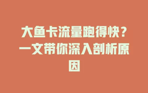 大鱼卡流量跑得快？一文带你深入剖析原因