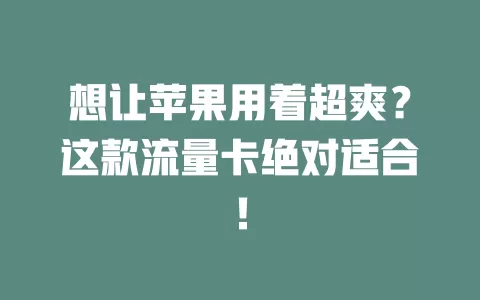 想让苹果用着超爽？这款流量卡绝对适合！