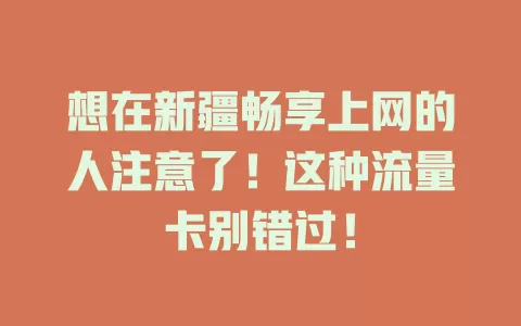 想在新疆畅享上网的人注意了！这种流量卡别错过！