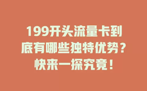 199开头流量卡到底有哪些独特优势？快来一探究竟！