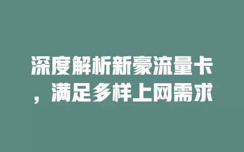 深度解析新豪流量卡，满足多样上网需求