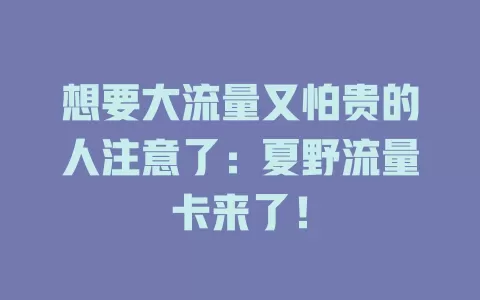 想要大流量又怕贵的人注意了：夏野流量卡来了！