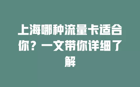 上海哪种流量卡适合你？一文带你详细了解