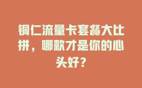 铜仁流量卡套餐大比拼，哪款才是你的心头好？