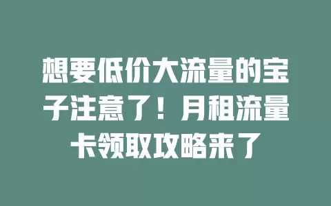 想要低价大流量的宝子注意了！月租流量卡领取攻略来了