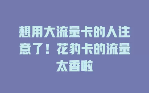 想用大流量卡的人注意了！花豹卡的流量太香啦