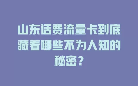 山东话费流量卡到底藏着哪些不为人知的秘密？
