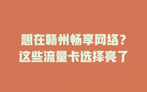 想在赣州畅享网络？这些流量卡选择亮了