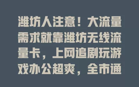 潍坊人注意！大流量需求就靠潍坊无线流量卡，上网追剧玩游戏办公超爽，全市通用无压力